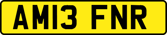 AM13FNR