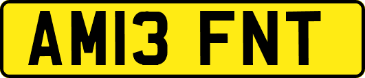 AM13FNT