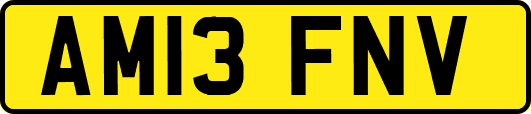 AM13FNV