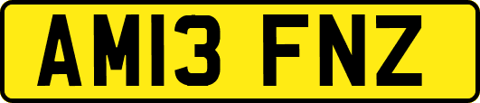 AM13FNZ