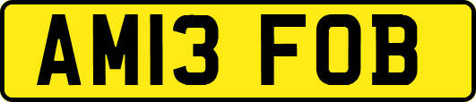 AM13FOB