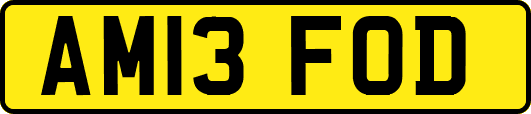 AM13FOD