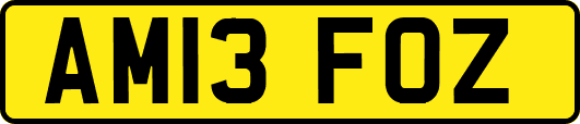 AM13FOZ