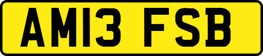 AM13FSB