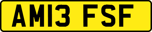 AM13FSF