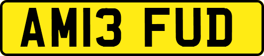 AM13FUD