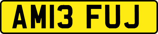 AM13FUJ