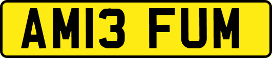 AM13FUM