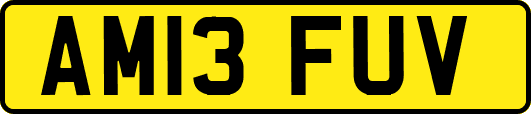 AM13FUV