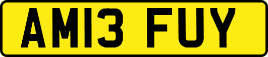 AM13FUY