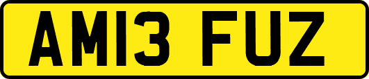 AM13FUZ