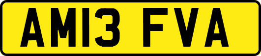 AM13FVA