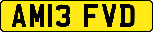 AM13FVD