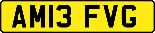 AM13FVG