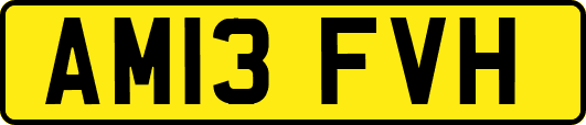 AM13FVH
