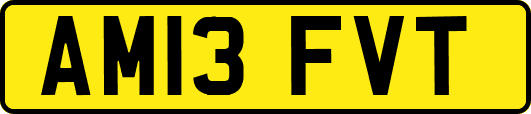 AM13FVT