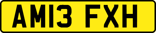 AM13FXH