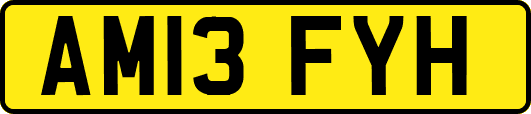AM13FYH