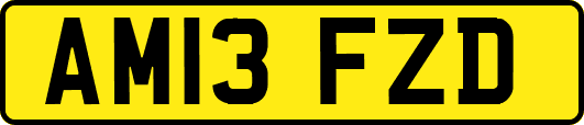 AM13FZD
