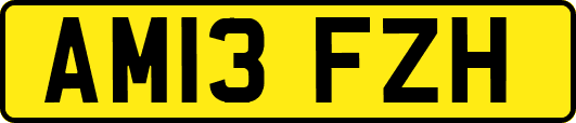 AM13FZH