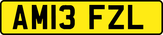 AM13FZL