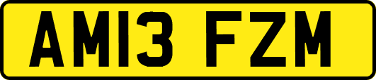AM13FZM