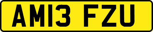 AM13FZU