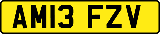 AM13FZV