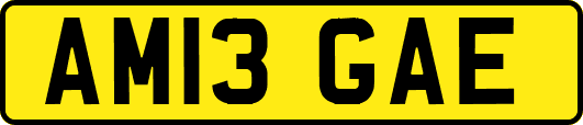 AM13GAE
