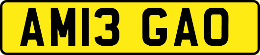 AM13GAO