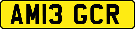 AM13GCR