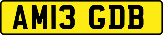 AM13GDB