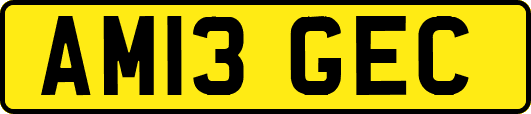AM13GEC