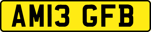 AM13GFB