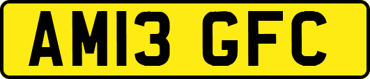 AM13GFC