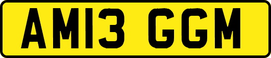 AM13GGM