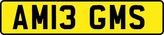 AM13GMS