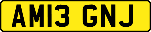 AM13GNJ