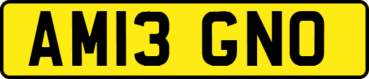 AM13GNO