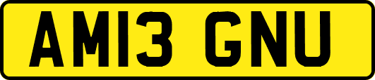 AM13GNU