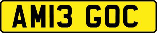 AM13GOC