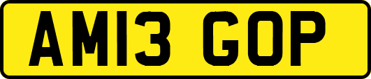 AM13GOP