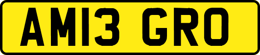 AM13GRO