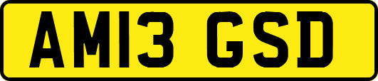 AM13GSD