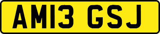 AM13GSJ