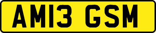 AM13GSM