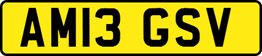 AM13GSV