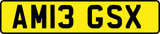 AM13GSX