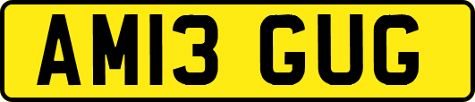 AM13GUG