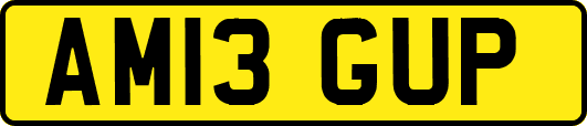 AM13GUP